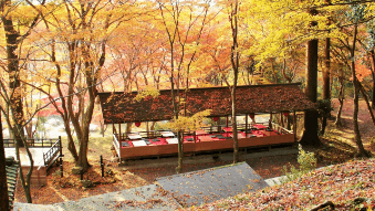 kyoto-kouyou